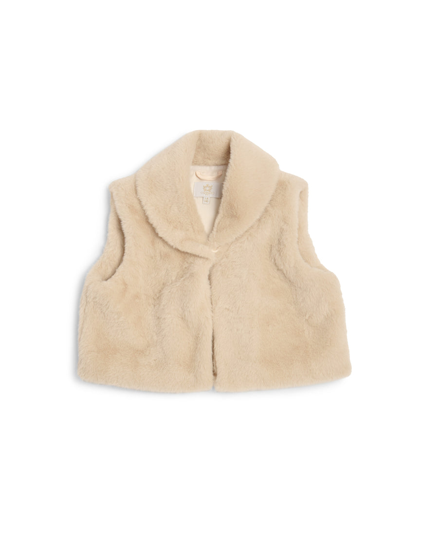 Mink Faux Fur Gilet